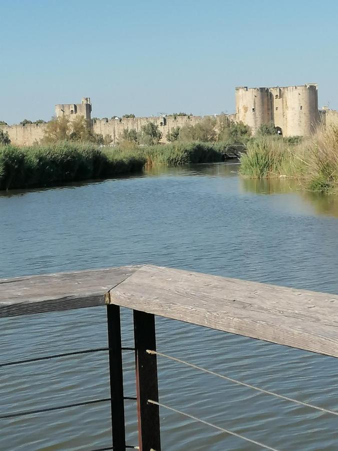 Marina A Aigues Mortes - Gard エクステリア 写真